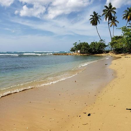 Beach Villas Dorado Puerto Rico Dış mekan fotoğraf