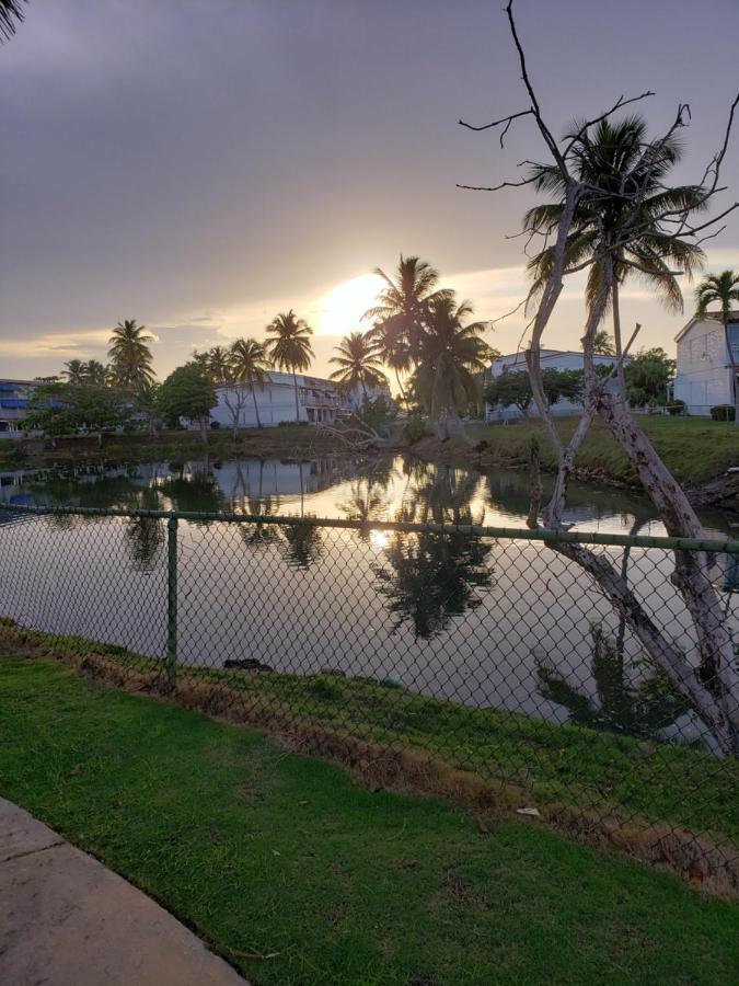 Beach Villas Dorado Puerto Rico Dış mekan fotoğraf