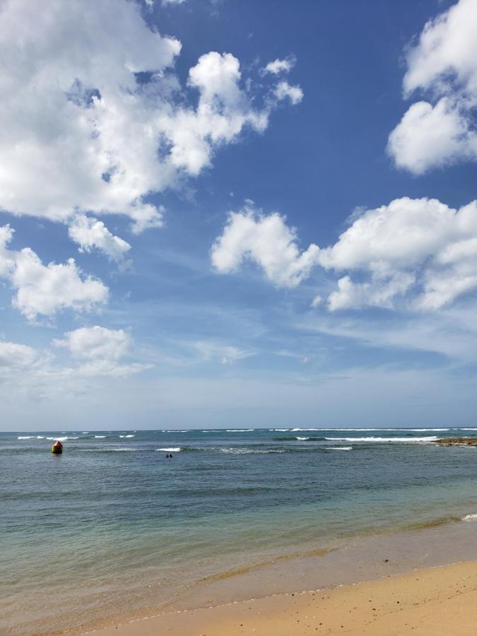 Beach Villas Dorado Puerto Rico Dış mekan fotoğraf